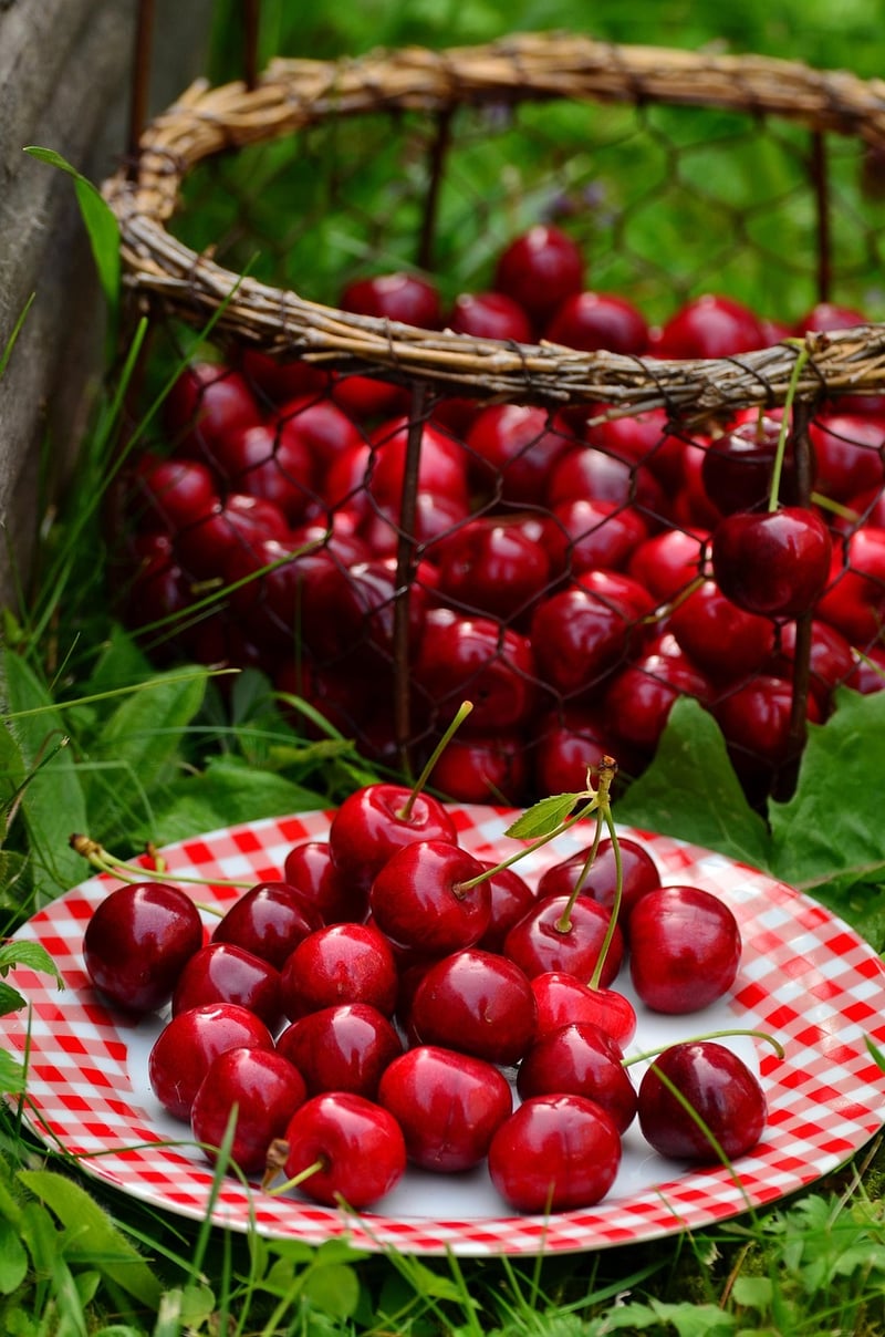 Summer Harvest