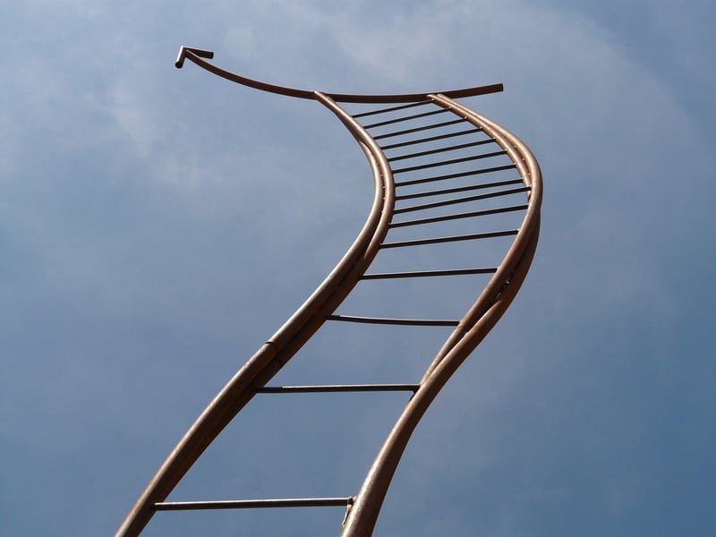 Ladder Plant Stand